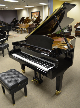 Wurlitzer Model 203 Grand Piano - Grand Pianos